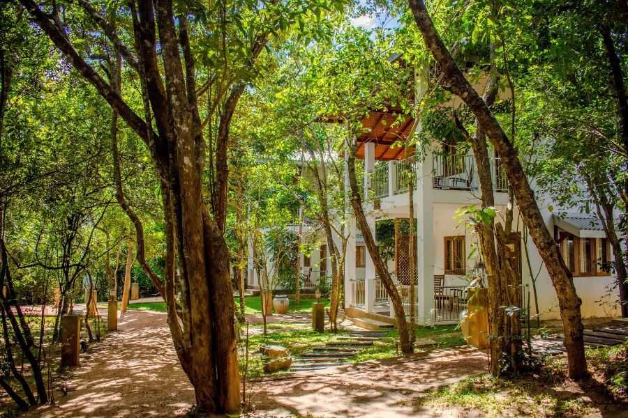 amaara hotel at sigiriya in sri lanka experiential journey