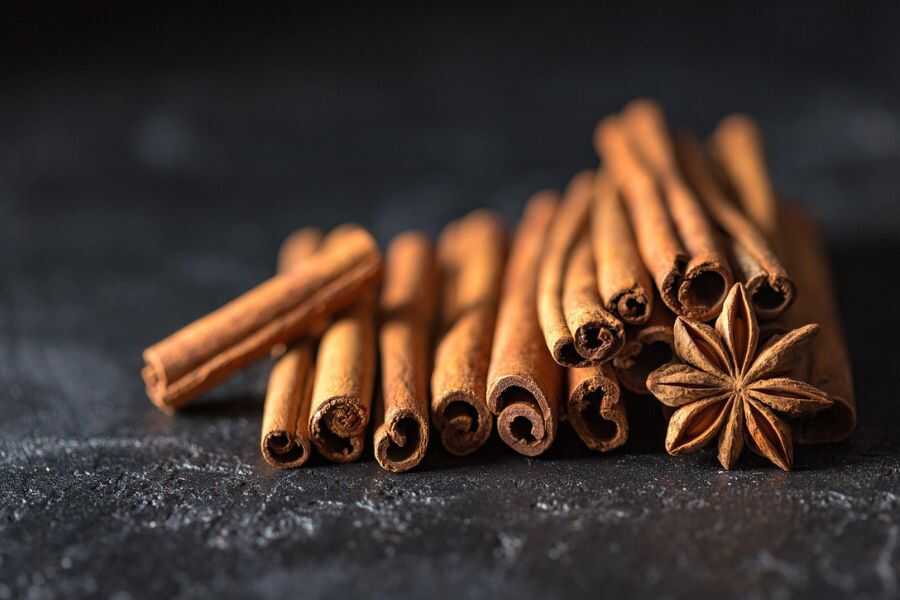 cinnamon in sri lanka experiential journey
