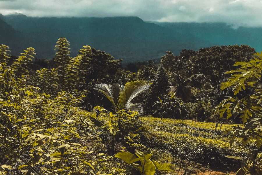 landscape view at rathnapura in sri lanka experiential journey