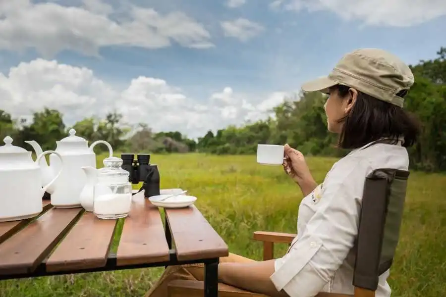 tasting a cup of tea at wwilpattu in sri lanka experiential journey