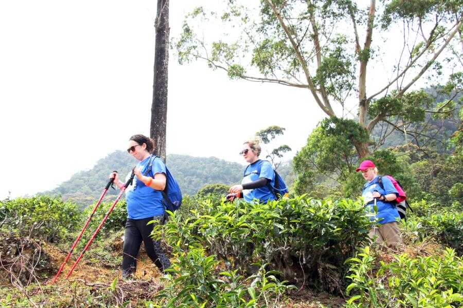 three tourists experiencing trekking through tea estates sr lanka experiential journey