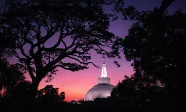 Inclusive Serenity: Sri Lanka’s Accessible Round Tour (Private Tour)