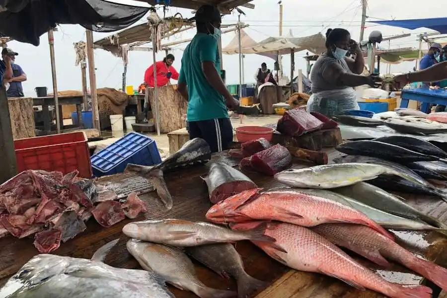 a group of people selling fish at outdoor market sri lanka experiential journey