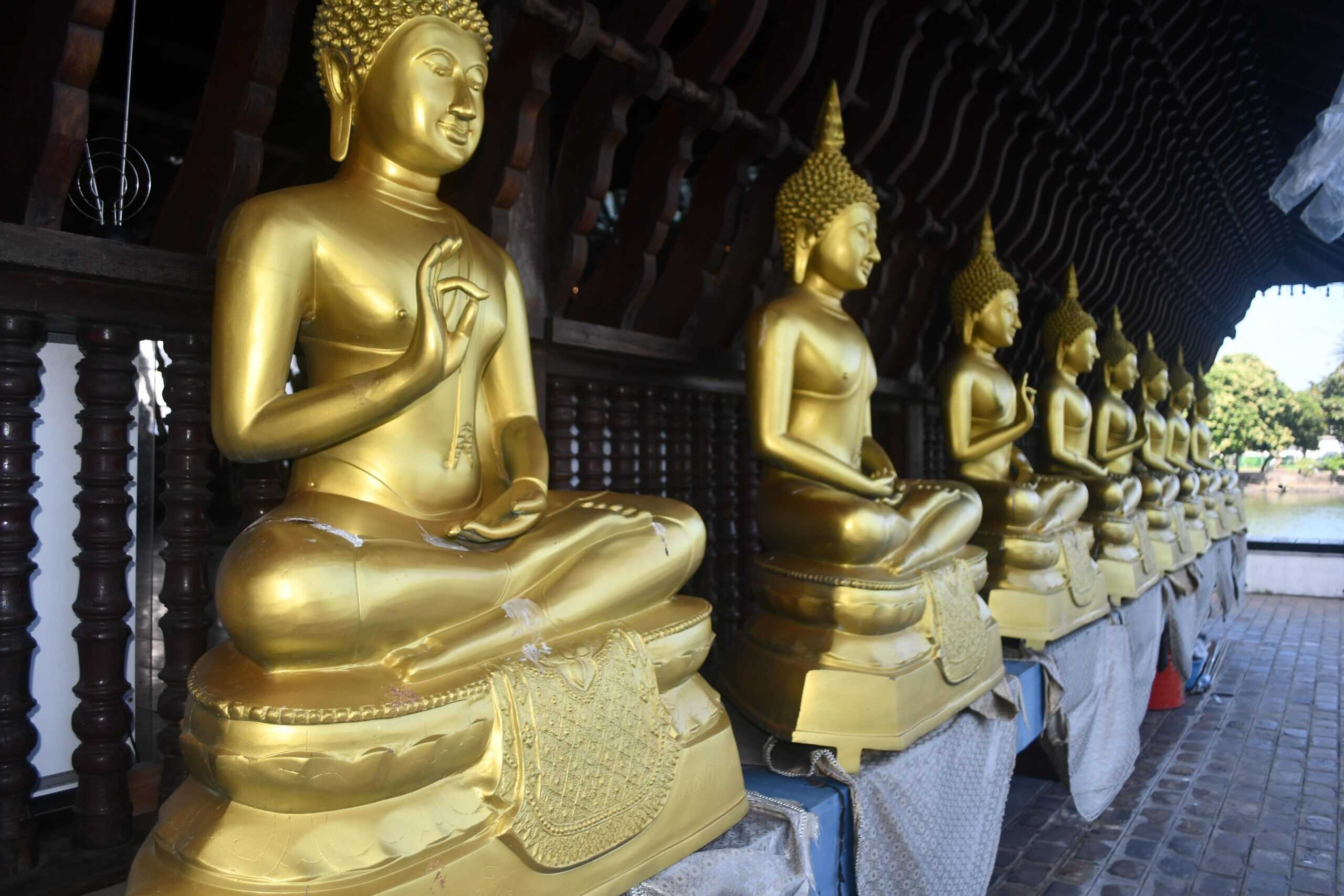 a temple at colombo sri lanka experiential journey