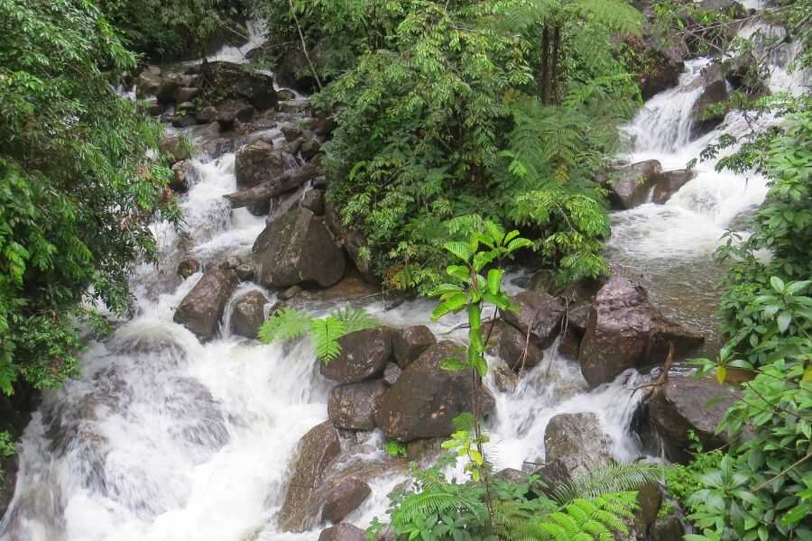 a waterfall at sinharaja rain forest sri lanka experiential journey