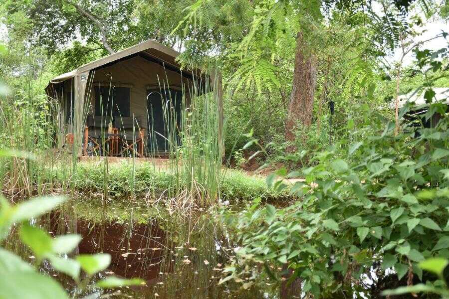 big game camps at yala sri lanka experiential journey