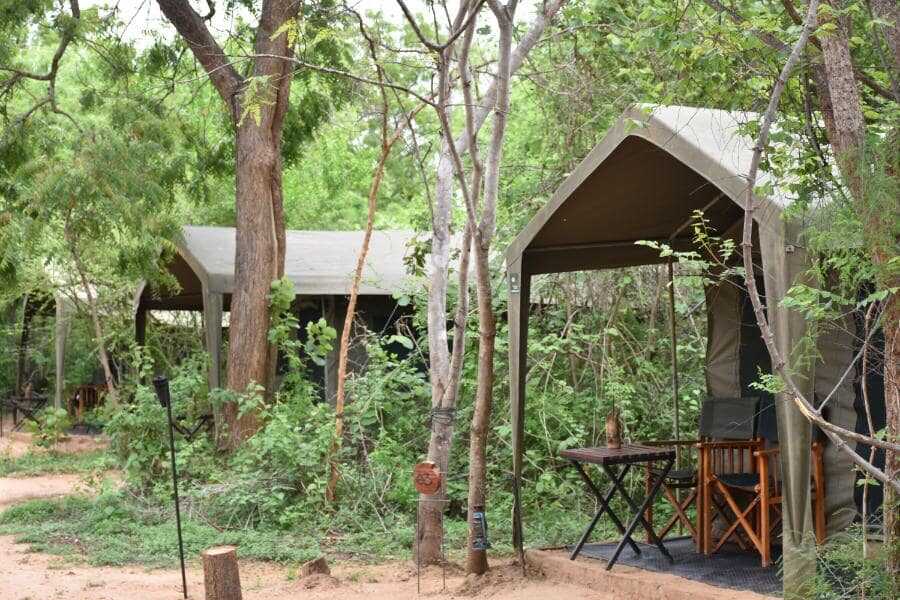 big game camp view at yala sri lanka experiential journey