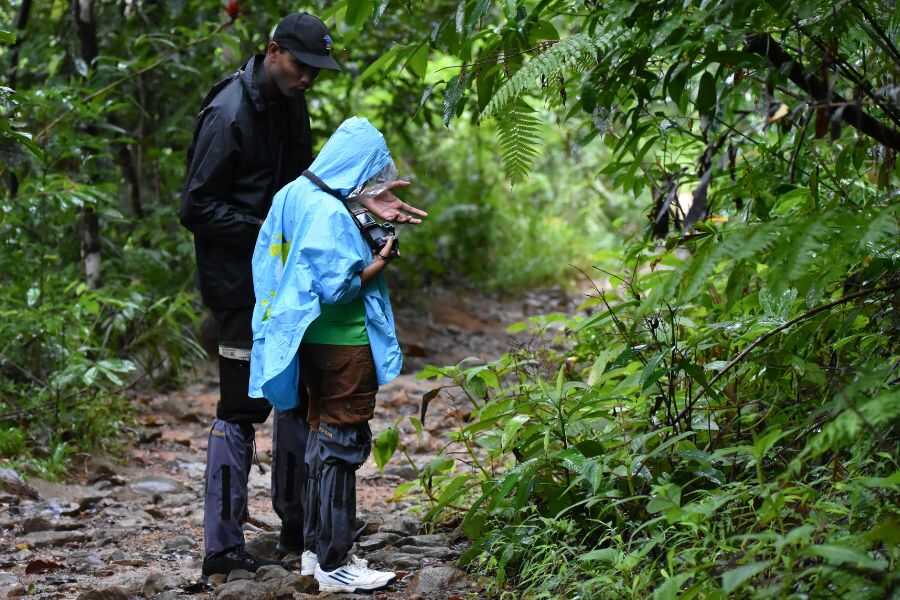exploring-nature-at-sinharaja-sri-lanka-experiential-journey