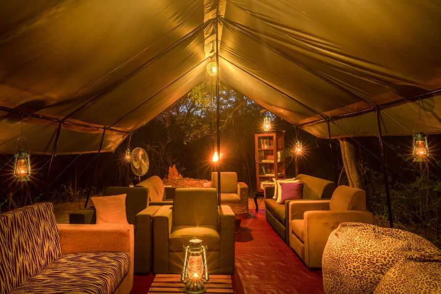 indoor look at mahoora tent at wilpattu sri lanka experiential journey