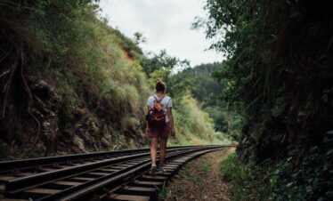 Sri Lanka Highlights in Summer – 14 Days – May to October (Private Tour)