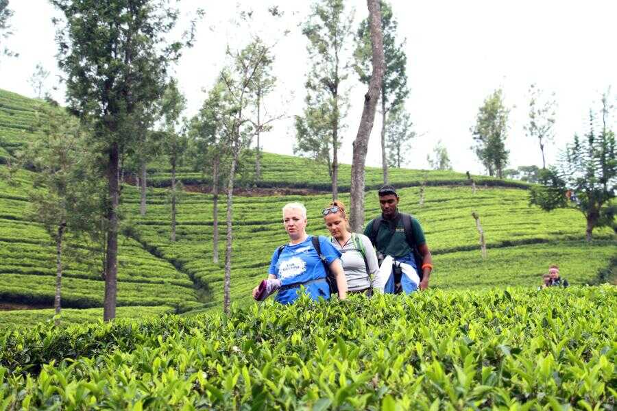 tourist experience at bogawanthalawa sri lanka experiential journey