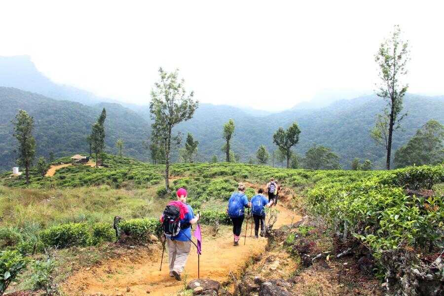 trekking at bogawanthalawa sri lanka experiential journey