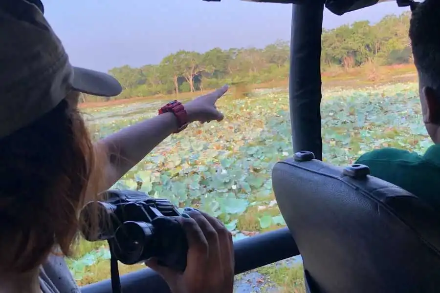 tourist experience safari experience at wilpattu sri lanka experiential journey