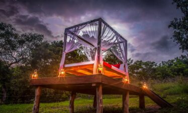Sri Lanka Southern Wilderness Expedition | Elite Tour