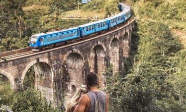 Sri Lanka Wilderness and Misty Hills – Mini Hop (Private Tour)