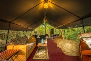 mahoora elite camp wilpattu experience in sri lanka experiential journey