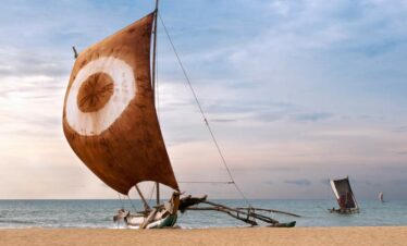 Ultimate Wildlife & Highlights Adventure  – Sri Lanka Small Group Tour