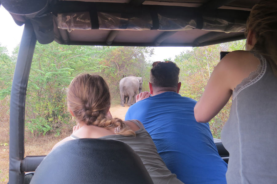 Ultimate Sri Lanka Highlights & Wildlife Adventure (Fixed Departure) 15