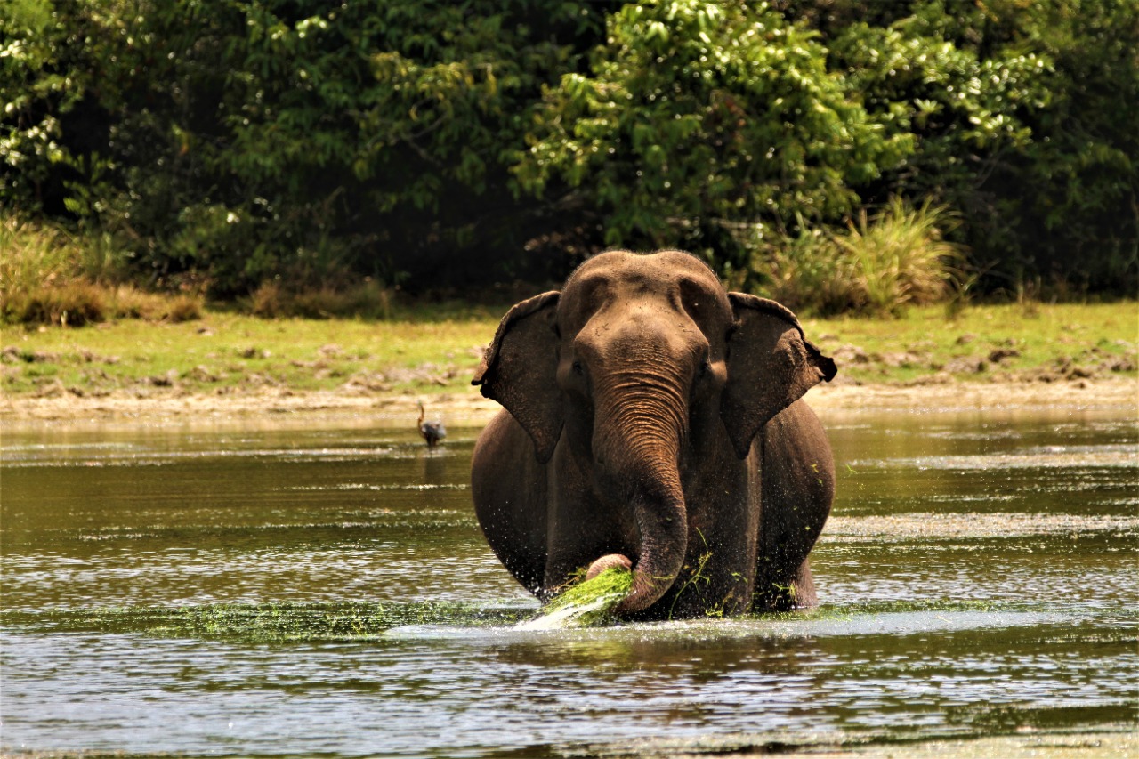 WhatsApp Image 2020-10-29 at 7.34.18 PM