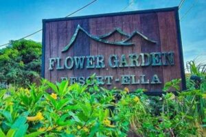 ella flower resort experience in sri lanka experiential journey