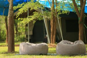 glamping stay at udawalawe big game experiential journeys
